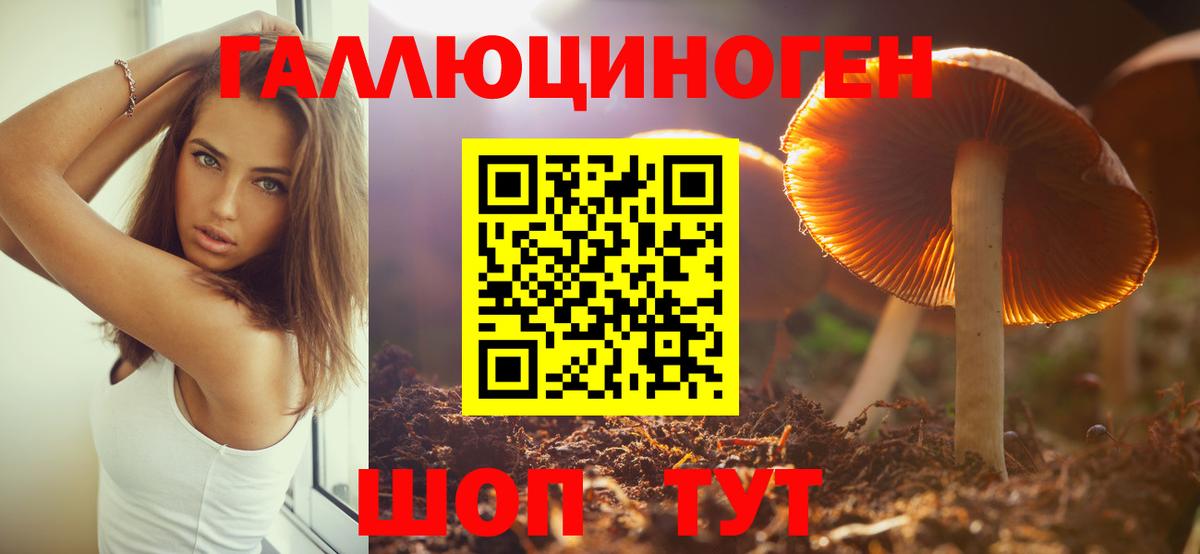 Тольятти  Псилоцибиновые грибы Psilocybe  Вход с VPN 